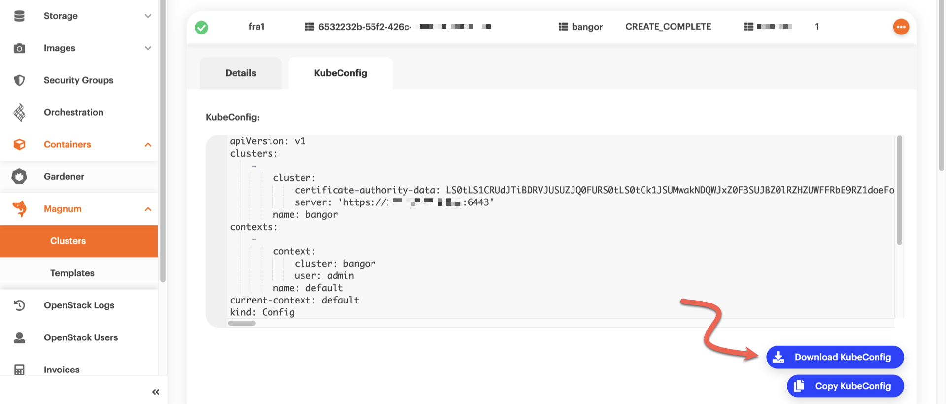 Kubeconfig view